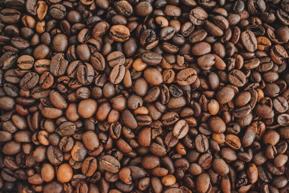 Sacas de café verde em descanso